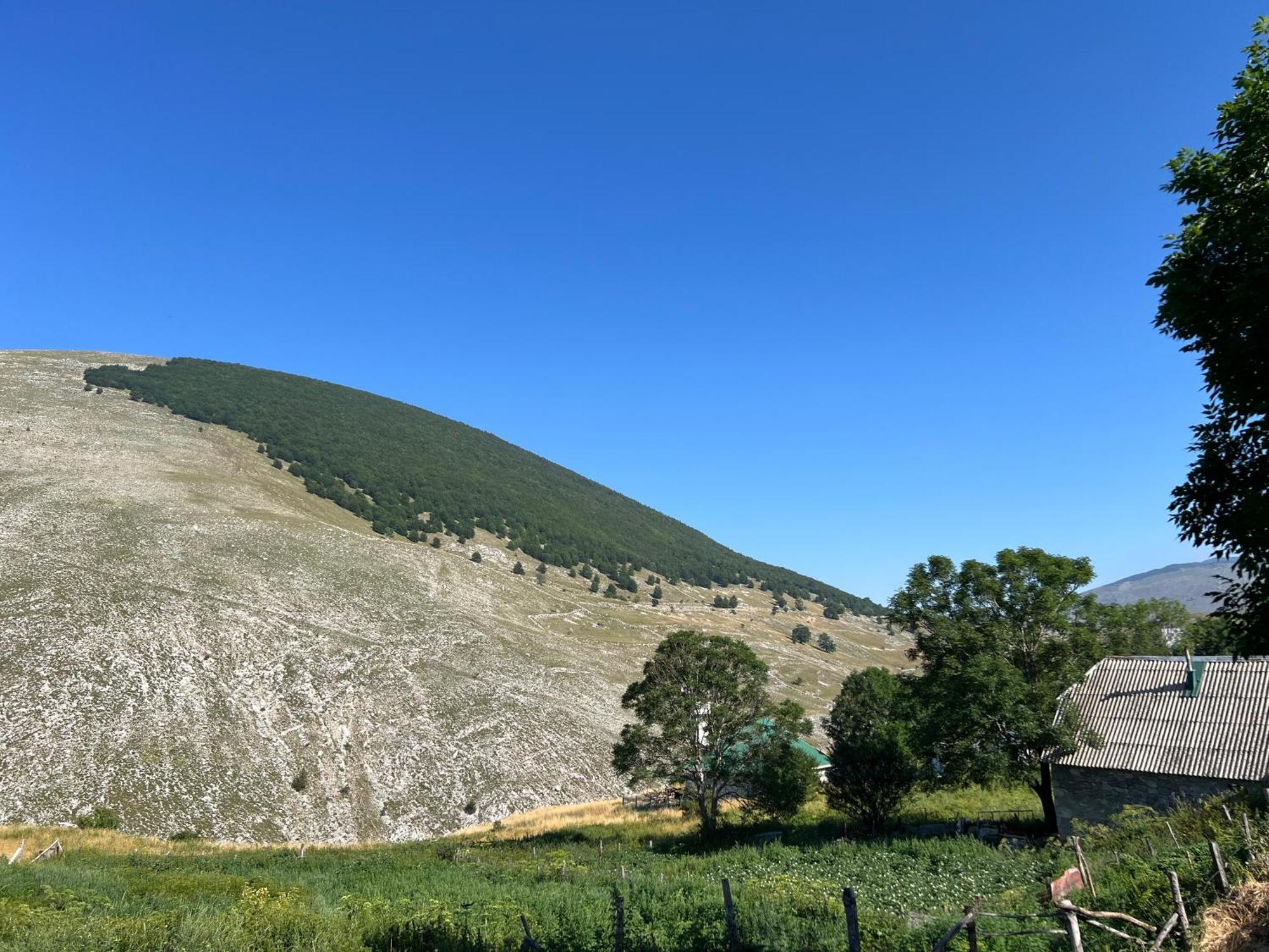 Kod Kapetana Tea Bed & Breakfast Gornji Lukomir Luaran gambar